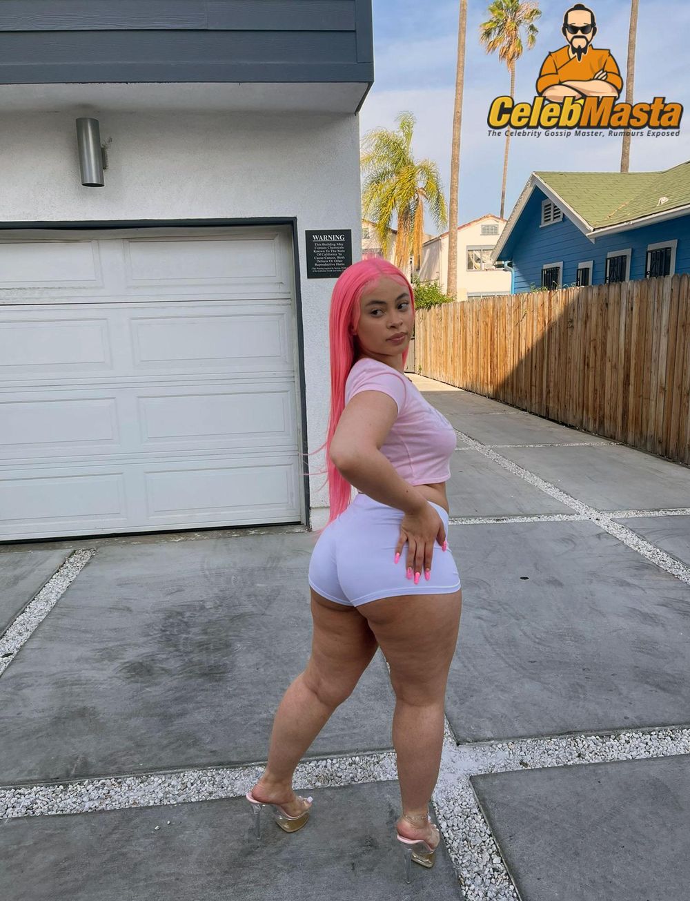 Ice Spice