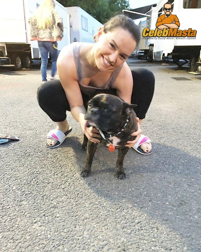 Daisy Ridley