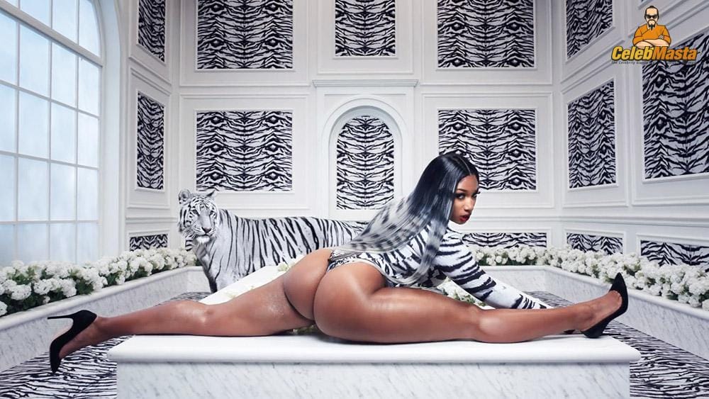 Megan Thee Stallion
