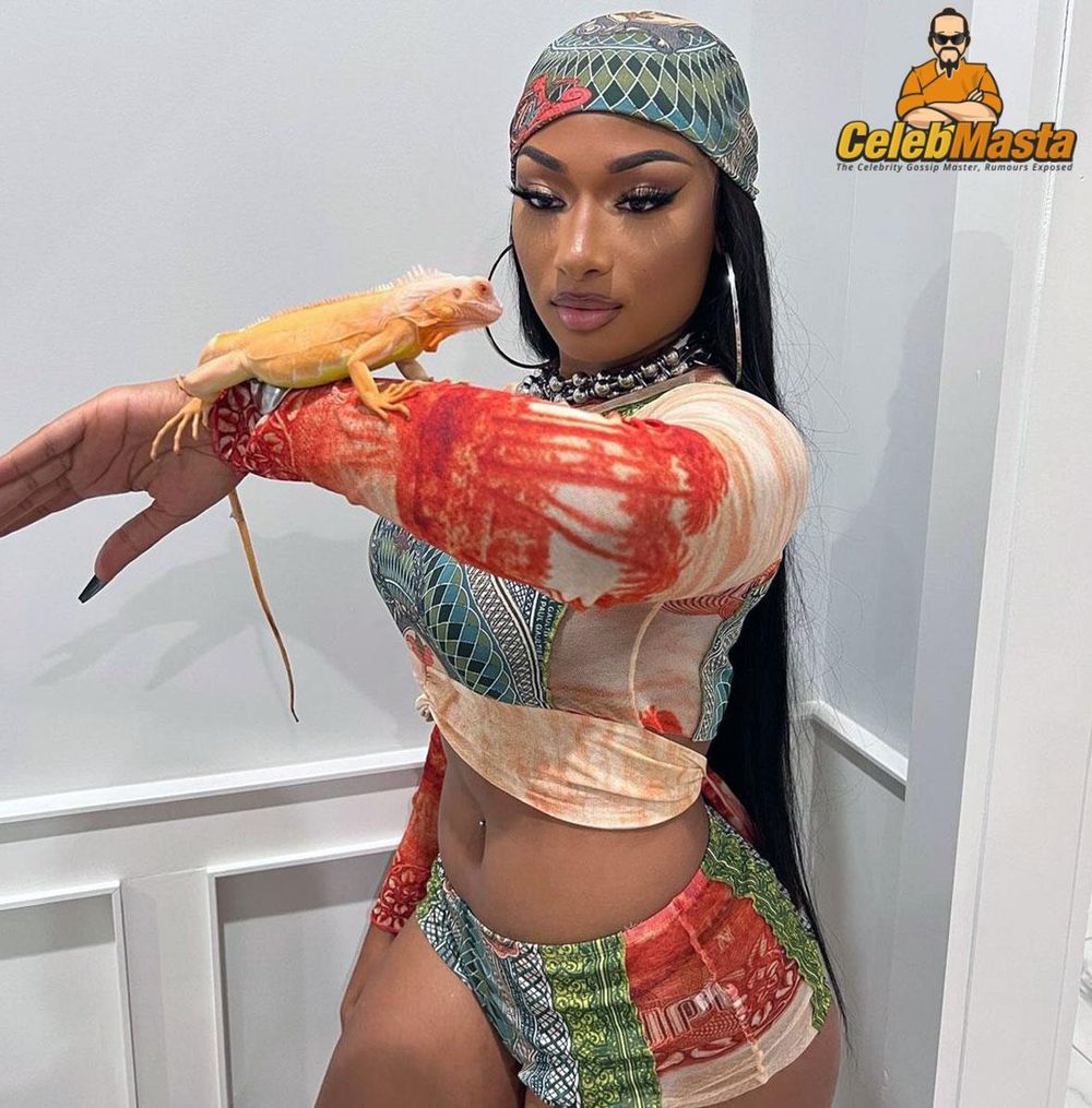 Megan Thee Stallion