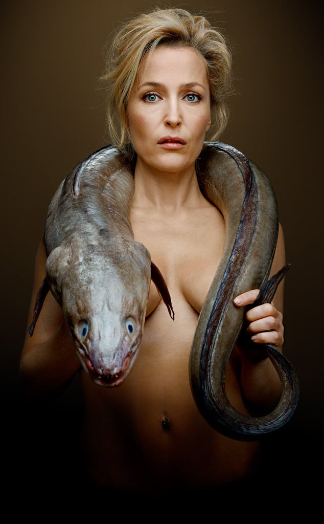 Gillian Anderson Sex Scene Videos and Nude Photos