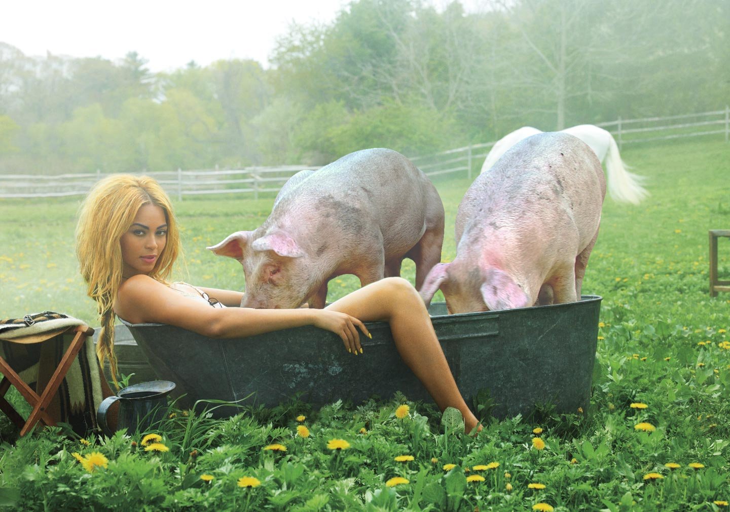 spazys pig farm