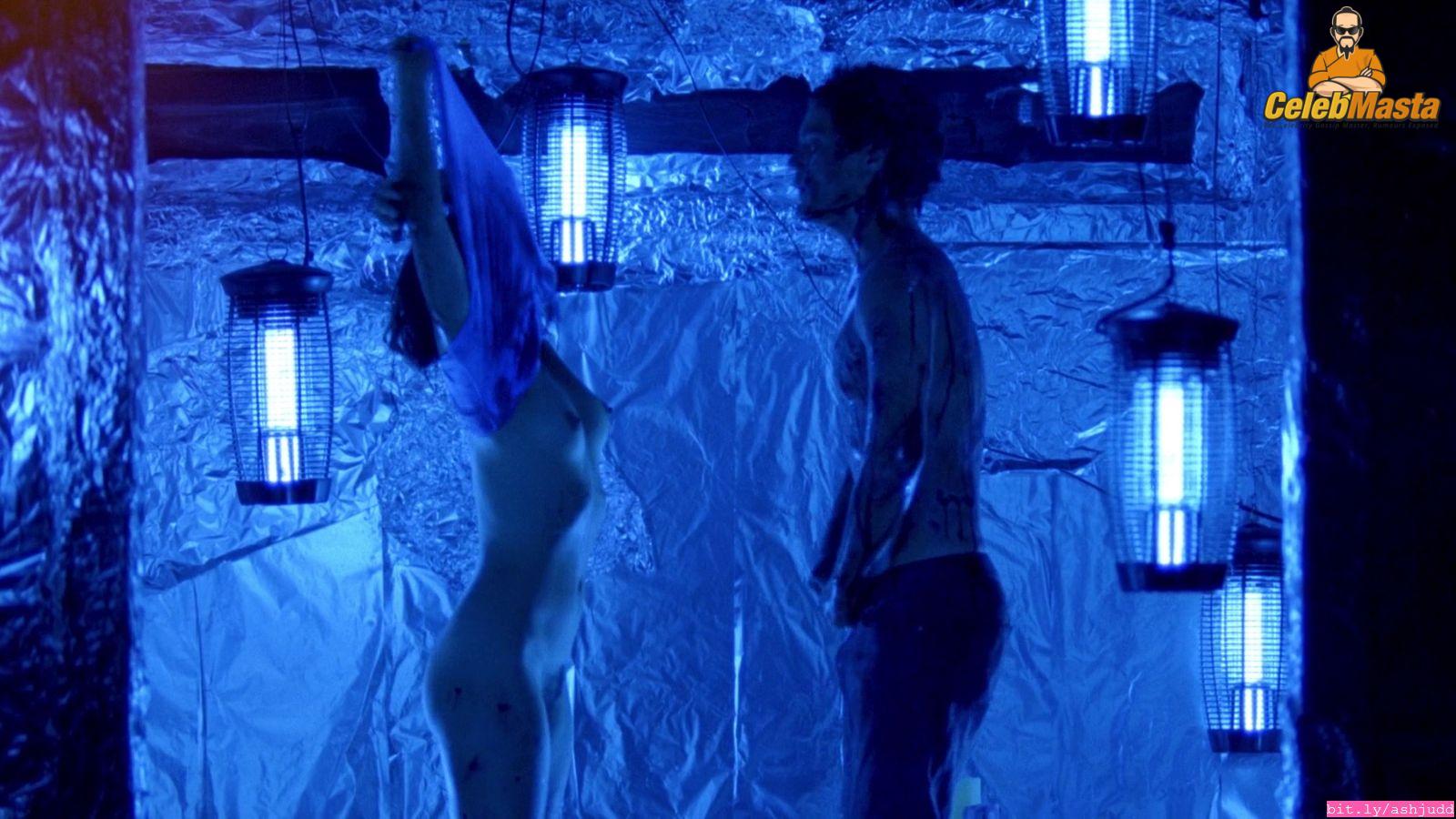 Ashley Judd Sex Scene Videos and Nude Photos