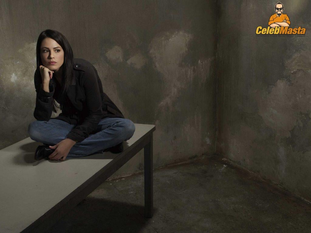 Michelle Borth Sex Scene Videos and Nude Photos