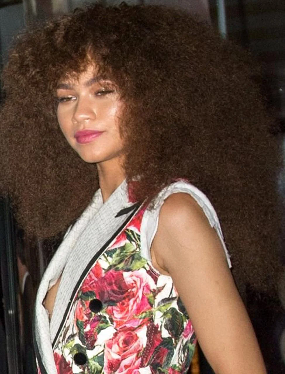 Zendaya Sex Scene Videos and Nude Photos